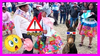 😈El Baile del Burro😱 Santiago de la Familia Camarena💪 Mamá GOYITA [upl. by Gabie]