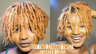 Two strand TWISTDIY Starter Locs How to do it Yourself [upl. by Arayk]