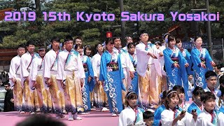 2019 15th Kyoto Sakura Yosakoi [upl. by Rodnas]