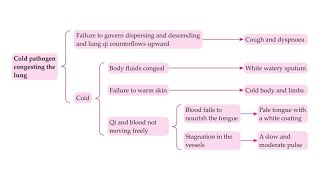 COLD PATHOGEN CONGESTING THE LUNGS [upl. by Rehoptsirhc]