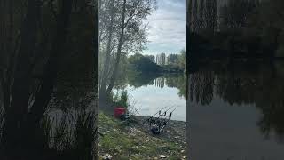 Sunny morning broadlands fishing lakes fishing carpy carpfish carps fish carp bigcarp [upl. by Aivatnohs]