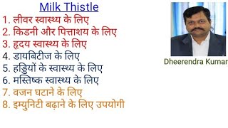 Benefits of Milk Thistle for health by Dheerendra Kumar [upl. by Mehalek]