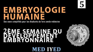 Embryologie humaine en Dardja 5 2ème semaine du développement embryonnaire [upl. by Morel415]