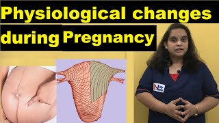 Physiological changes during Pregnancy in Hindi  Reproductive amp Skin Changes  Nursing Lecture [upl. by Knowling90]