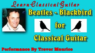 Blackbird Classical Guitar [upl. by Ttenyl806]