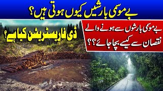 Impact of Deforestation in Pakistan  Pros and Cons of Climate Change  Such News [upl. by Yasu]