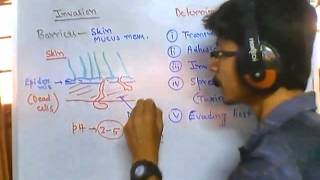 Invasion of host cell by pathogen [upl. by Amand]