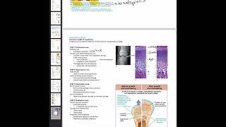 Post natal bone growth Marieb Chapter 6 [upl. by Nairb661]