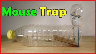 Como fazer uma armadilha de rato Homemade Trap [upl. by Bonnee]