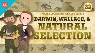 Darwin and Natural Selection Crash Course History of Science 22 [upl. by Hakan]