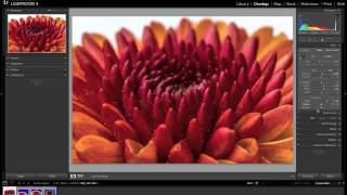 Macro Photography Tutorial using Flash [upl. by Kroy]