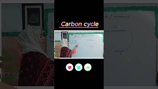 Carbon Cycle [upl. by Verdie]