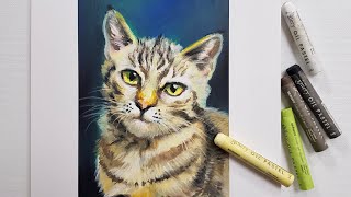 Oil pastel drawing  How to draw A Cat with Oil pastel [upl. by Tarrance]