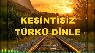 KESİNTİSİZ TÜRKÜ DİNLE  TÜRK HALK MÜZİĞİ türküler [upl. by Allez]