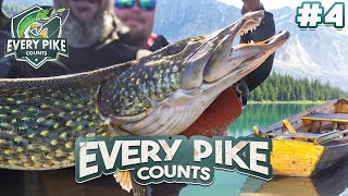 KILPAILU TIUKKENEE  Every Pike Counts 2024 with Kurre  Episode 4 [upl. by Nicole509]