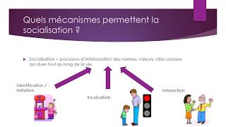 2ndeSES La socialisation un processus [upl. by Sobmalarah296]