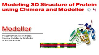 Modeling 3D Structure of Protein using Chimera and Modeller [upl. by Selfridge721]