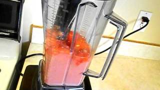 How to make sorbet in the Vitamix [upl. by Arednaxela]