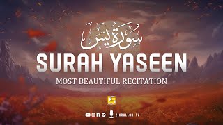 Worlds best recitation of Surah Yaseen  سورة يس ⋮ Healing Quran ⋮ Zikrullah TV [upl. by Enneira755]