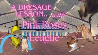 A dressage lesson in PRL  Leah Silentwild [upl. by Ihn810]