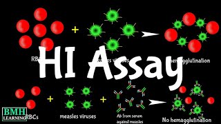 Hemaglutination Inhibition Assay  HI Assay  HAI Assay [upl. by Atnicaj]