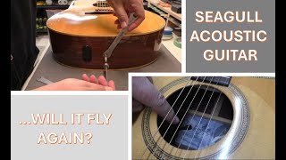 Seagull Artist Series Acoustic Guitar  needs a setup and an output jack repair [upl. by Nosa]