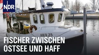 Zwischen Ostsee und Haff  Vom Überlebenskampf der letzten Fischer  Die Nordreportage  NDR [upl. by Sophey]