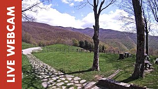 Webcam Live Rifugio Burigone LU  Garfagnana [upl. by Ecaidnac]