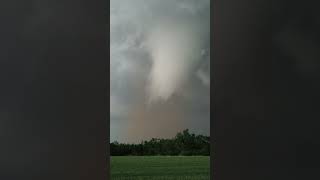 Large Tornado Forming [upl. by Groveman572]