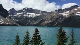 Between Peyto Lake and Mistaya Canyon  Montana IMG 1130 [upl. by Shushan]