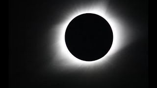 Arriva leclissi totale di sole occhi al cielo ma soprattutto al web  Insider Italiano [upl. by Terese]