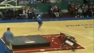 Cyberdunk  Harlem Globe Trotter [upl. by Irahs]