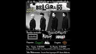 Belgrado live Santiago de Chile 2019 HD [upl. by Aneroc294]