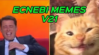 ECNEBI MEMES V21 [upl. by Atneciv]