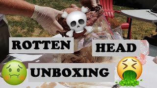 Unboxing ROTTEN Heads  Water Maceration  Wolf Heads Part 1 [upl. by Nabala933]