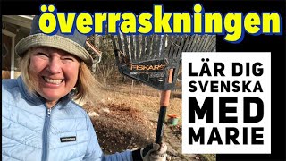 Överraskningen  Lär dig svenska med Marie [upl. by Tobin]