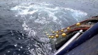 Energy efficiency in trawl fishing 2013 [upl. by Nnaitak283]