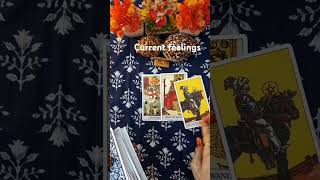 Current feelings shorts trending viral tarotcards tarotreading [upl. by Critta826]