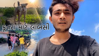 કૂતરા માટે લાબસી [upl. by Shurwood]