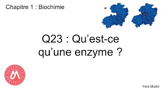 Chapitre 1  Biochimie  Q23  Questce quune enzyme [upl. by Lexie710]