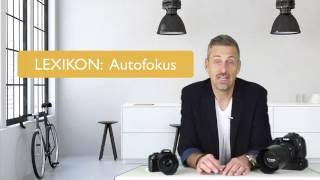 Lexikon Autofokus Wie Du scharfe Fotos trotz billigem Autofokus bekommst  Der Kurs für Eltern 2019 [upl. by Cullan264]