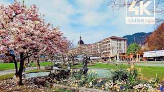 Switzerland 🇨🇭 Interlaken Spring walkingtour 4K UHD [upl. by Leighland189]