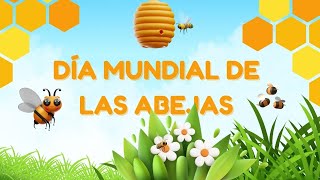 DÍA MUNDIAL DE LAS ABEJAS  LAS ABEJAS Y LA POLINIZACIÓN [upl. by Zulaledairam]