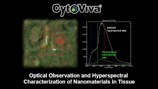 Imaging Nanoparticles in Tissue Using CytoViva Enhanced Darkfield Microscopy Webinar [upl. by Klemens]