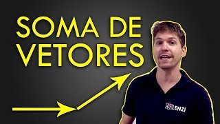 Soma de Vetores [upl. by Greeson]