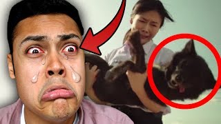 REACTING TO THE MOST SAD VIDEOS IN 2017 YOU 100 WILL CRY [upl. by Ytte]