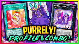 NEW EEVEELUTION IS BROKEN  PURRELY DECK PROFILE  COMBO TUTORIAL [upl. by Langley]