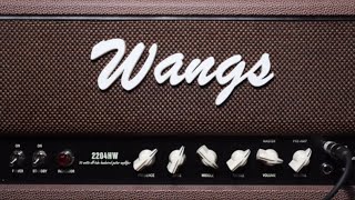 Wangs Amps 2204HW [upl. by Nalyr]