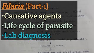 Filaria Part1  Causative parasites  Life cycle of parasite  Lab diagnosis [upl. by Arbmik]