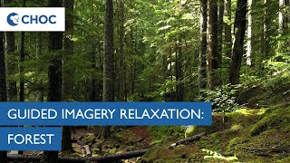 Guided Imagery Meditation Forest  CHOC [upl. by Llerrad468]